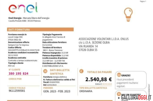 bolletta