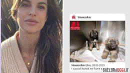 Elisabetta Canalis