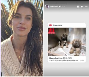 Elisabetta Canalis