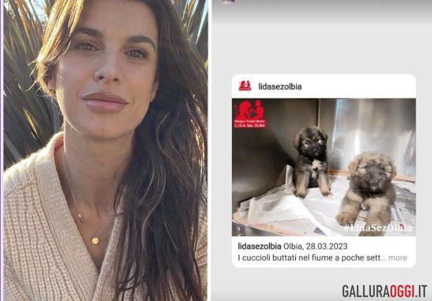 Elisabetta Canalis