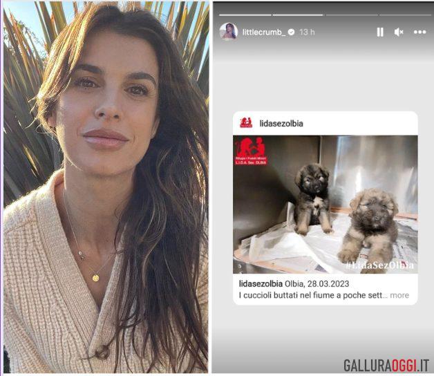 Elisabetta Canalis