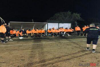 Equivoco mb orange