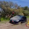 auto