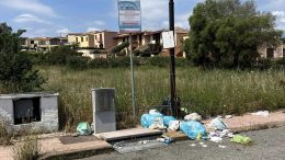 Murta Maria