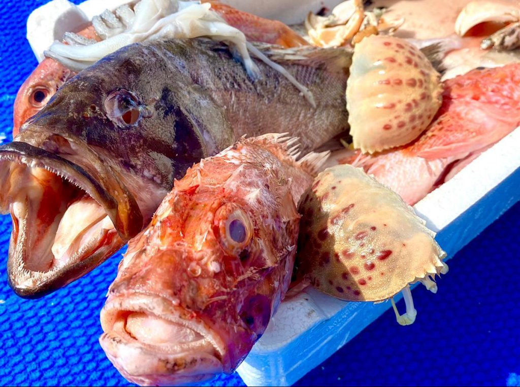 zuppa di pesce Golfo Aranci