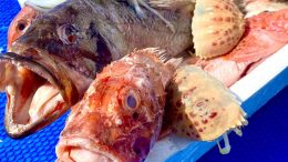 zuppa di pesce Golfo Aranci