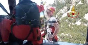 turista Tavolara