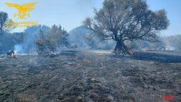 incendio berchidda Violento incendio a San Teodoro, danni ingenti