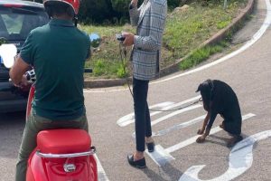 cane Porto Cervo