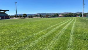 buddusò olbia calcio cagliari ranieri