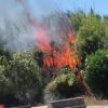 incendio Pittulongu