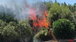 incendio Pittulongu