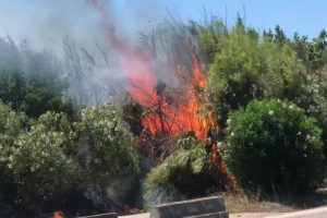 incendio Pittulongu