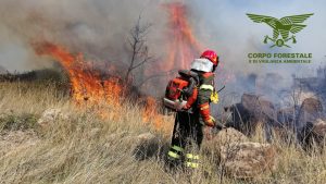 incendio buddusò budduso'