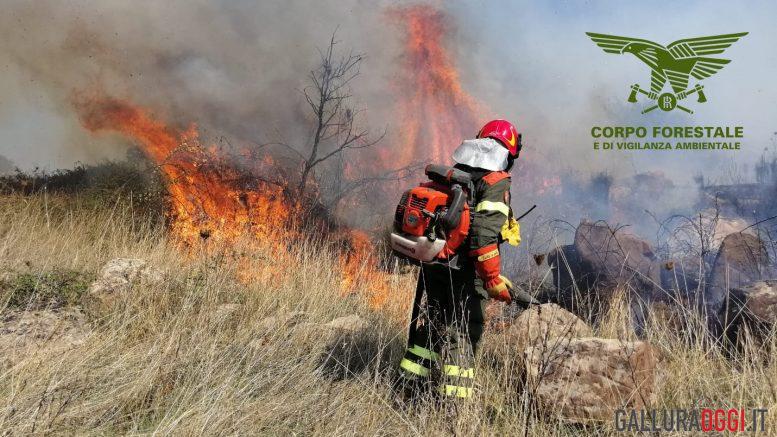 incendio buddusò budduso'