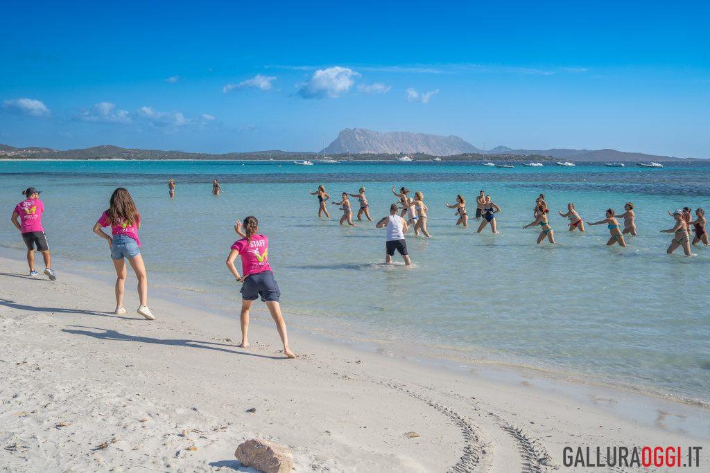Vivinfitness San Teodoro