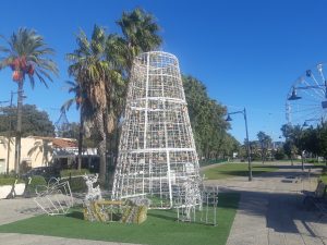 albero Olbia