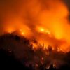 incendi Olbia