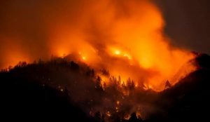 incendi Olbia
