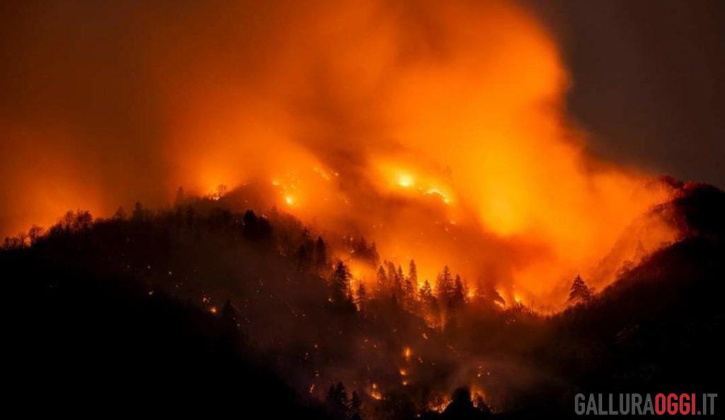 incendi Olbia