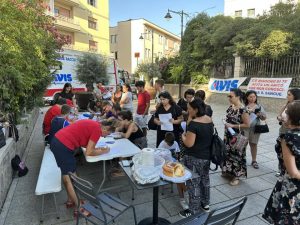 Avis Olbia
