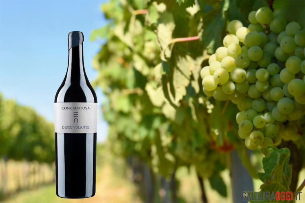 Vermentino Disco Volante