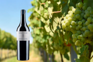 Vermentino Disco Volante