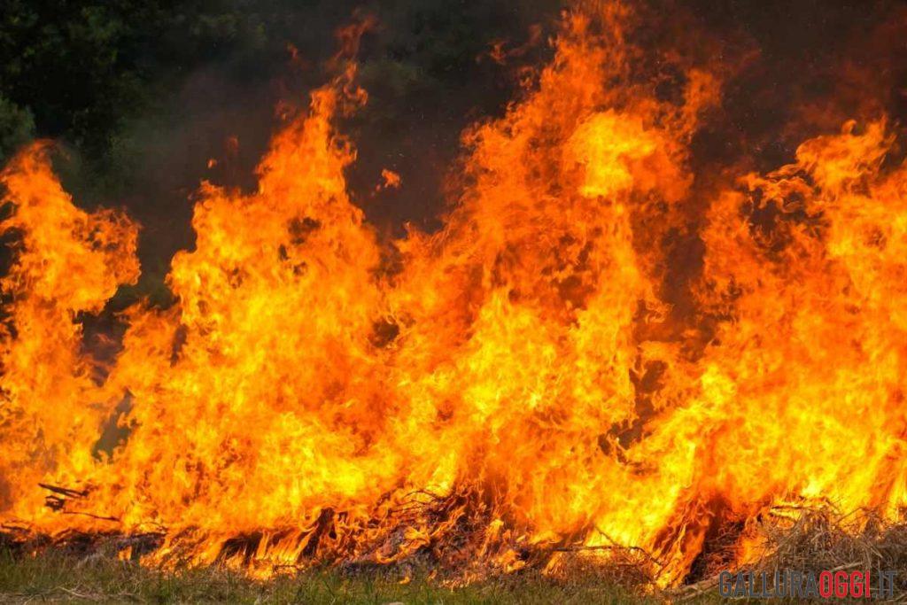 Incendio Olbia incendi gallura