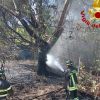 incendio Santa Teresa