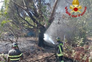 incendio Santa Teresa