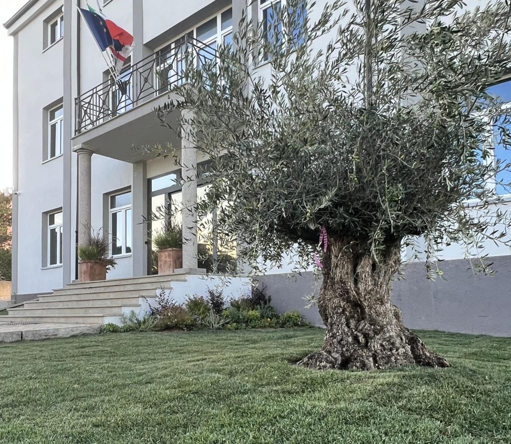 municipio Telti