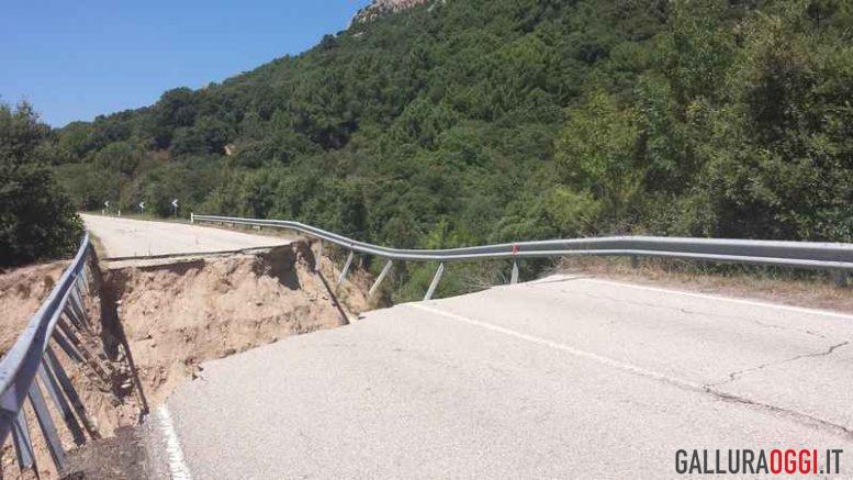 monte pino