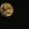 superluna blu sardegna blue moon