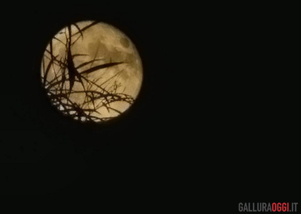superluna blu sardegna blue moon