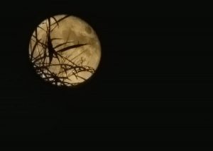 superluna blu sardegna blue moon