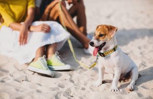 spiaggia Cannigione