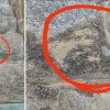 martino figura ombra immagine sechi volto gradino scala fantasma la maddalena