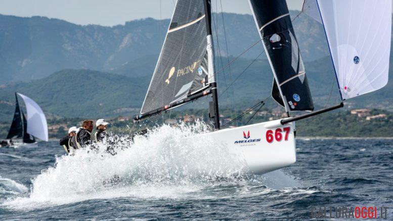 vela puntaldia