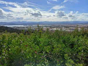 Meteo Olbia nuvoloso