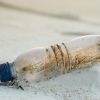 pulizia litorale area marina protetta tavolara punta coda cavallo