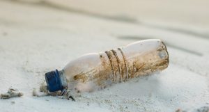 pulizia litorale area marina protetta tavolara punta coda cavallo