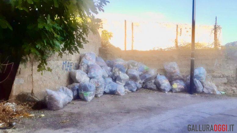 spazzatura Olbia
