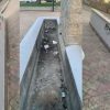 vandali Olbia