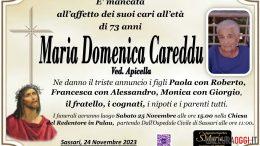 Maria Domenica Careddu