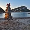 cala moresca albero di Natale