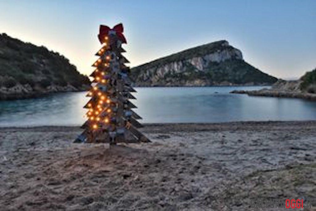 cala moresca albero di Natale