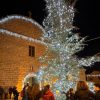 albero Luras