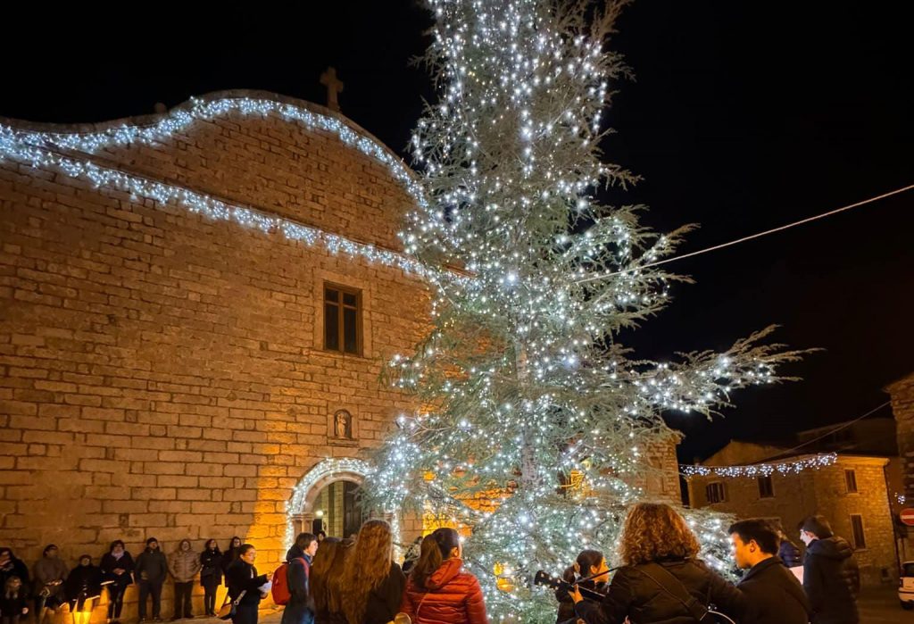 albero Luras