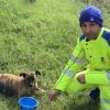 cane Anas