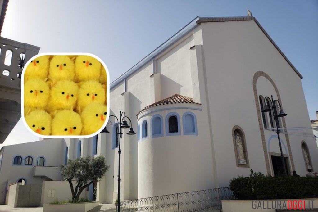 furto Palau